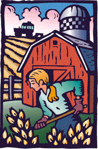 On the Farm Image