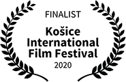 Finalist, Kosice International Film Festival