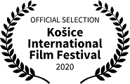 Official Selection: Kosice International Monthly Film Festival, 2020