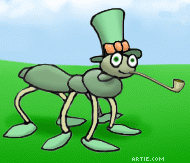 Irish ant